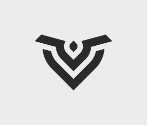 01-v-logo